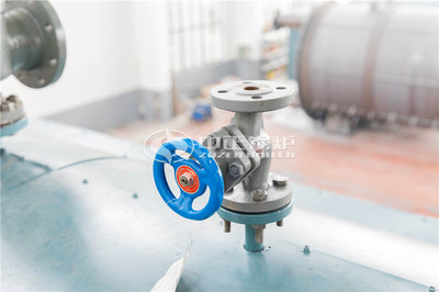 一吨燃气蒸汽锅炉价格解析及除尘技术装备制造概述